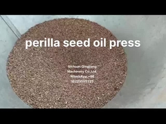 oliepersverwerkingsmachine voor het extraheren van ricinus olie