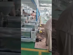 Chili oliepersmachine