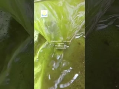 persmachine voor zonnebloemolie