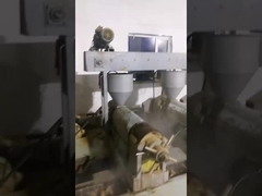 rozenmoeszaadolie, biologisch koud geperst
