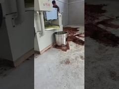 drukmachine voor koude olie