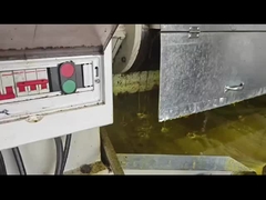 maïzoliepers